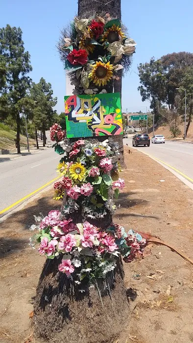 El Rancho Verde Picture 4