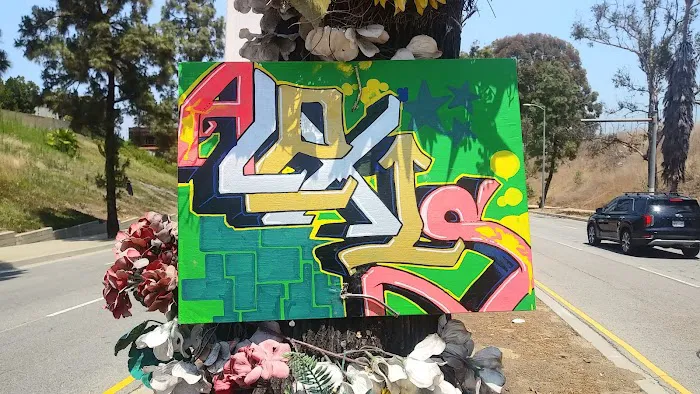 El Rancho Verde Picture 3
