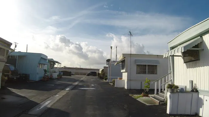 Starlite Trailer Park Picture 6