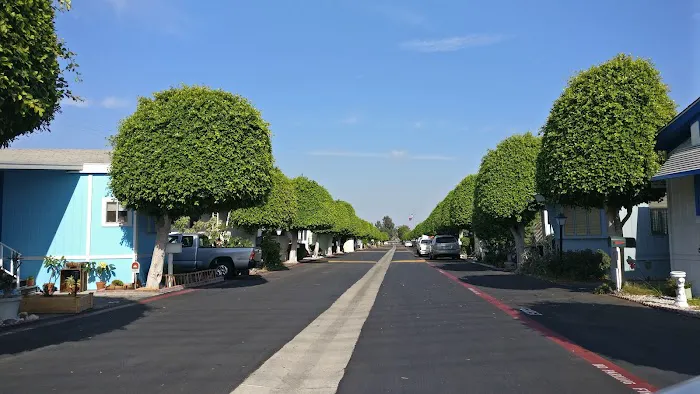 Golden State Mobile Lodge Picture 6
