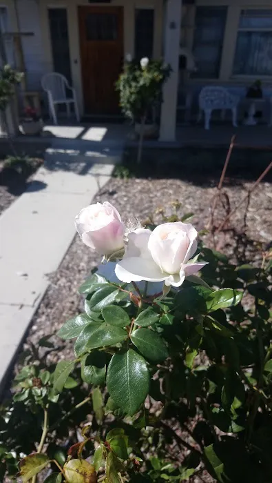 Crestview Lodge For Mobile Picture 2