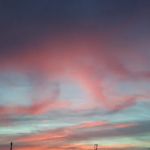 Orchard Trailer Park