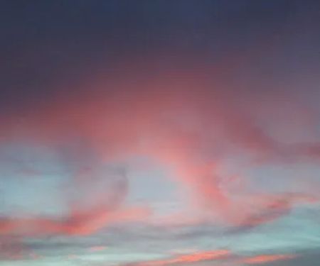 Orchard Trailer Park