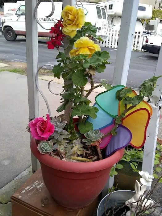 Normandie Mobile Home Park Picture 9