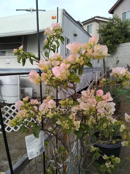 Normandie Mobile Home Park Picture 5