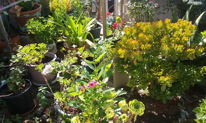 Normandie Mobile Home Park Picture 8