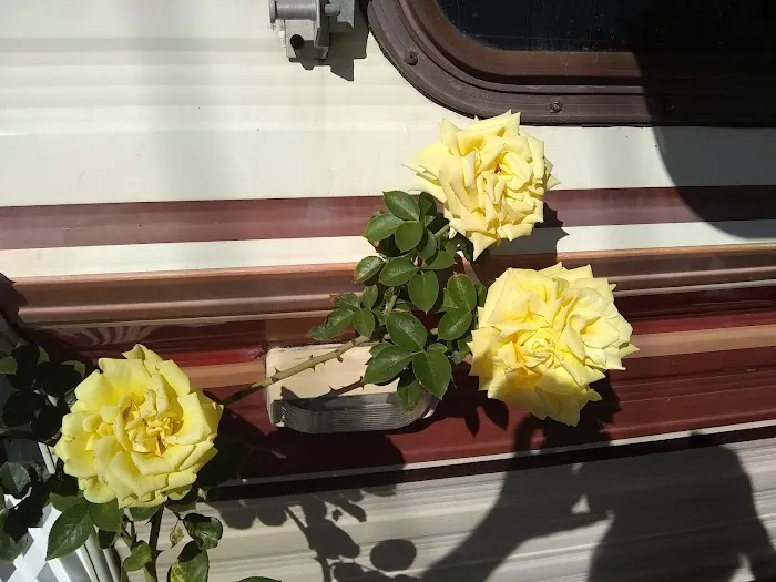 Normandie Mobile Home Park Picture 2