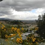 Mountain Shadows Mobile Home Community