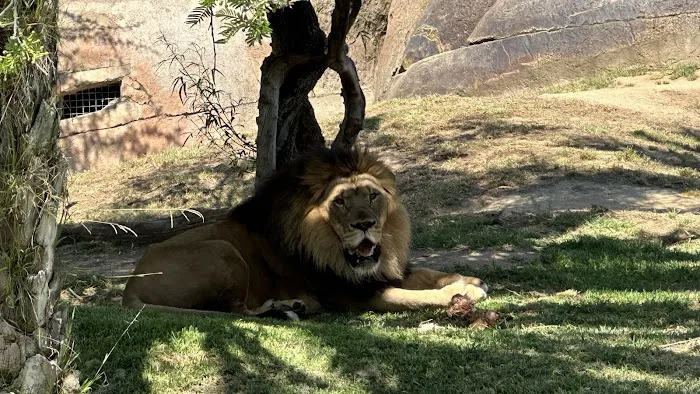 Park Place Mobile Home Park Picture 9