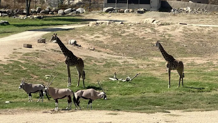 Park Place Mobile Home Park Picture 10