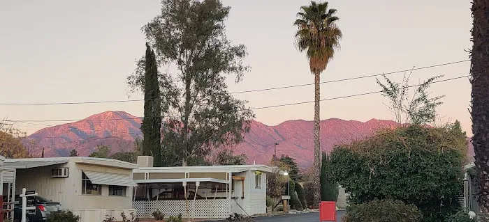 Aladdin Mobile Estates Picture 1