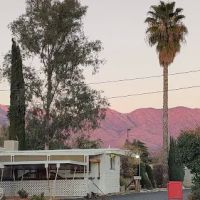 Aladdin Mobile Estates ico