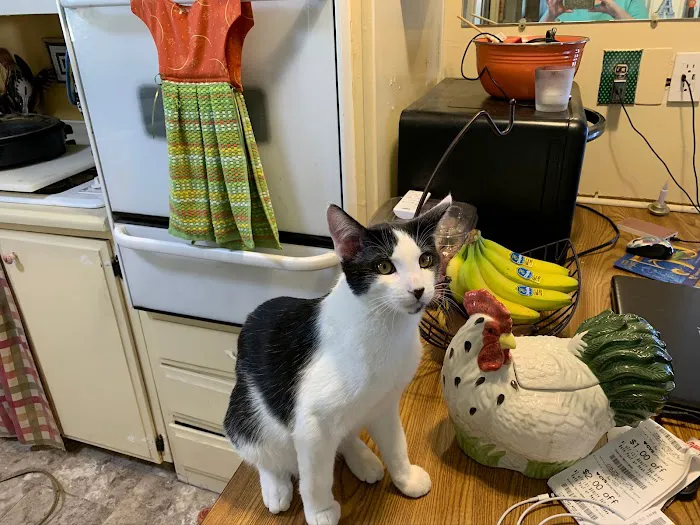 Aladdin Mobile Estates Picture 4