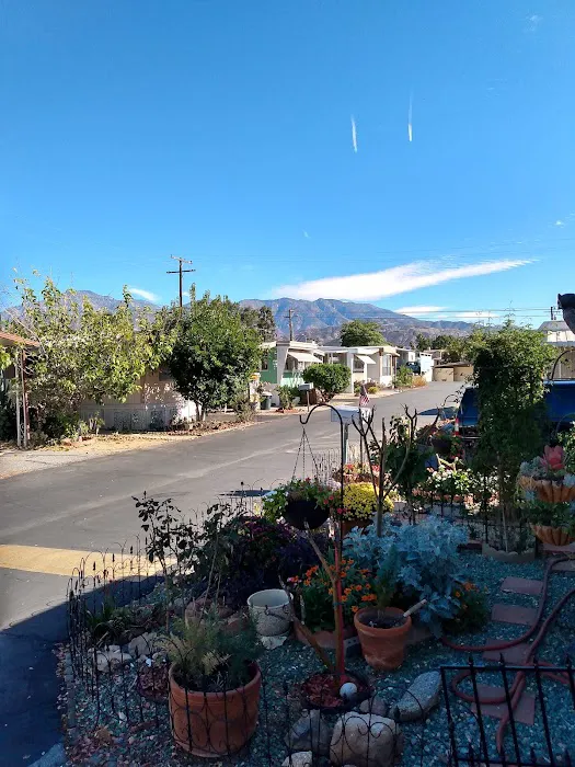 Yucaipa Village Mobile Home 12830 6th street #50ome Est, Picture 5