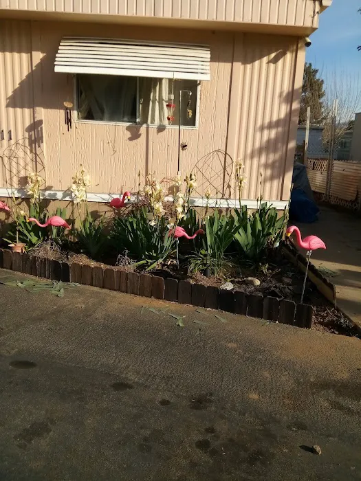 Las Casitas-Yucaipa MHP Picture 6