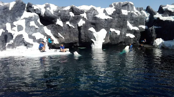 South Mesa Mobile Home Park Picture 2