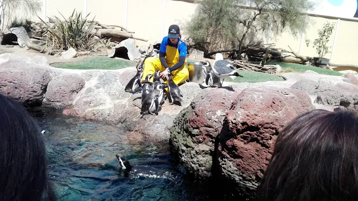 South Mesa Mobile Home Park Picture 3