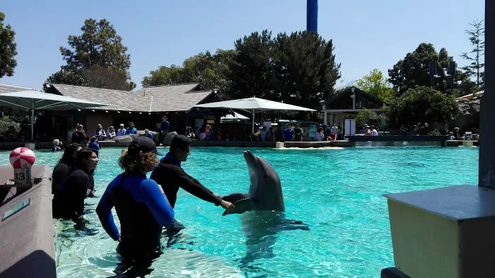 South Mesa Mobile Home Park Picture 1