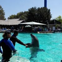 South Mesa Mobile Home Park ico