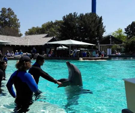 South Mesa Mobile Home Park