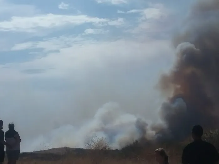 South Mesa Mobile Home Park Picture 8