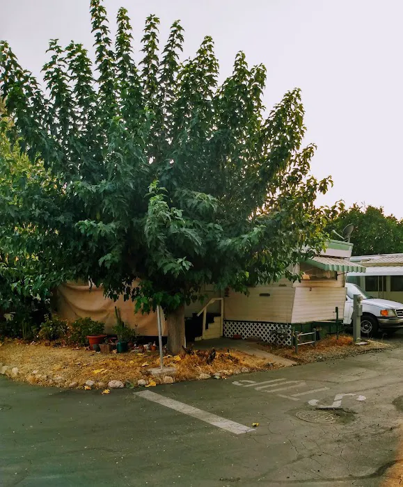 Big Oak Gardens Mobile Home Park Picture 8