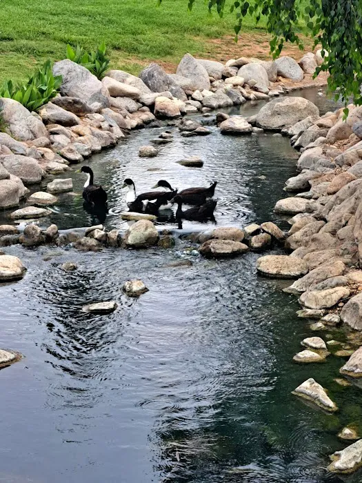 Plantation On the Lake Picture 7