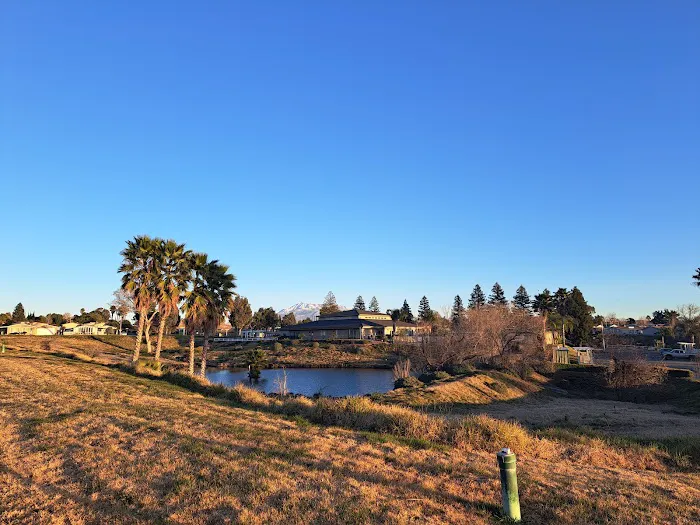 Plantation On the Lake Picture 6