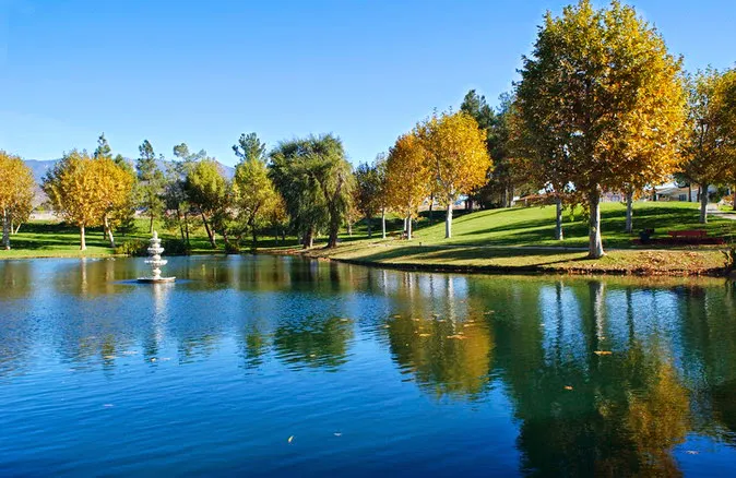 Plantation On the Lake Picture 9