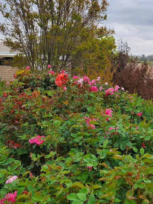 Plantation On the Lake Picture 10