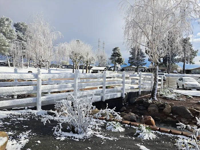 Plantation On the Lake Picture 3