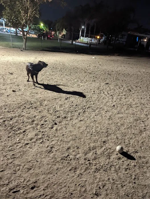 Murrieta Palms Picture 8