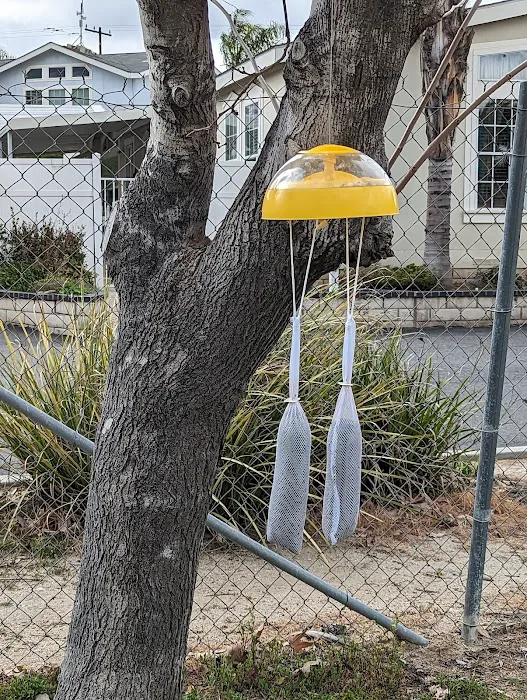 Murrieta Palms Picture 9