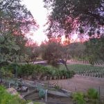 Oak Crest Estates 55+ Community