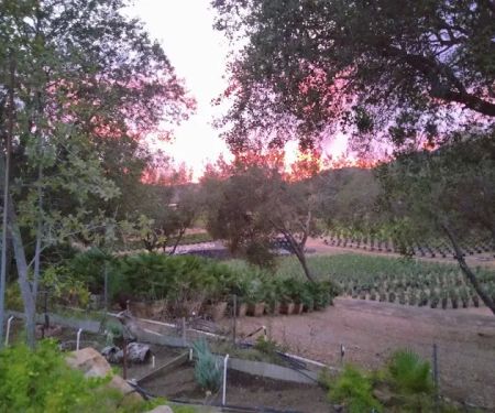 Oak Crest Estates 55+ Community