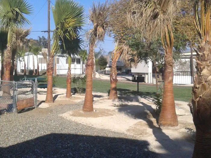SANTIAGO PALM VISTA Picture 6