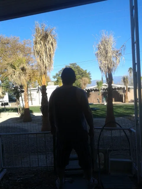 SANTIAGO PALM VISTA Picture 3