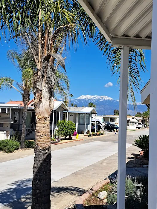 Mountain Shadows RV Resort Picture 10