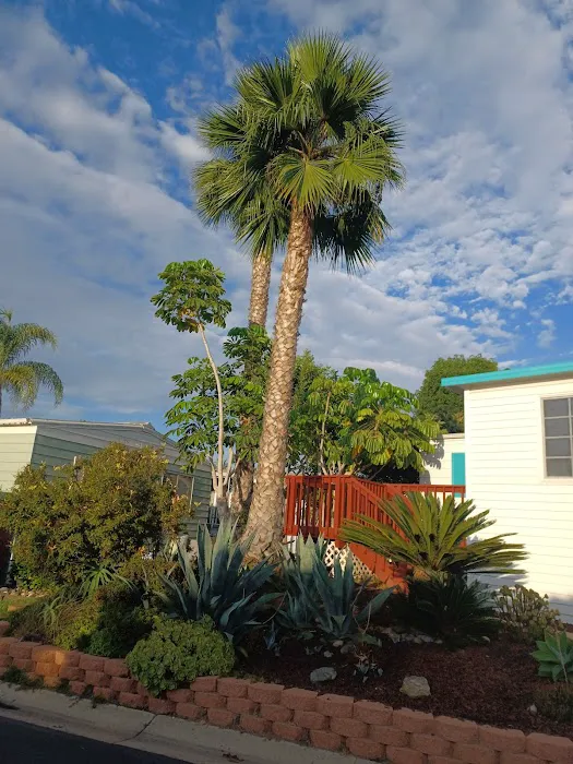 Lakeshore Gardens Mobile Home Picture 3