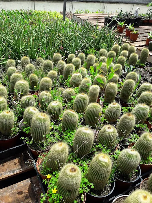 Rancho Vallecitos Picture 10