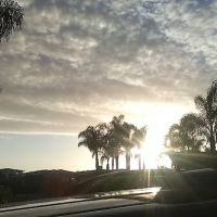 Palomar Estates East ico
