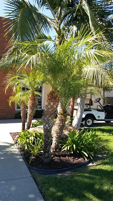 San Marcos View Estates Picture 10