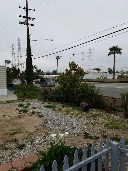 Royal Western Mobile Home Park Picture 4