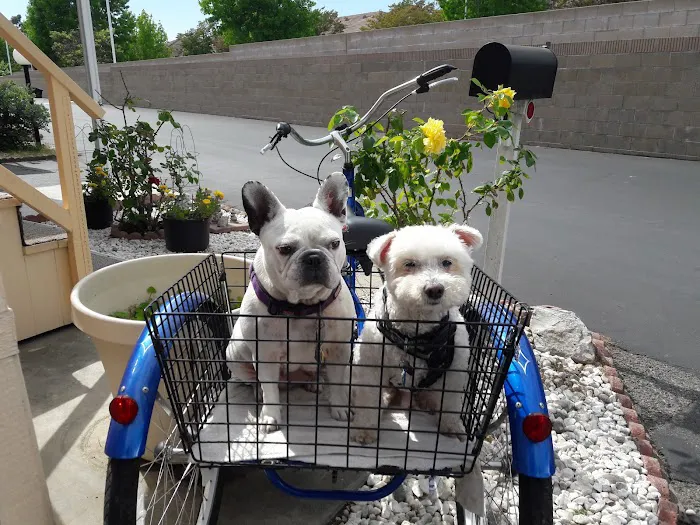 Southbay Estates Picture 8