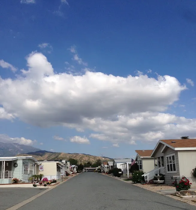 Mission Valley Oaks Picture 2
