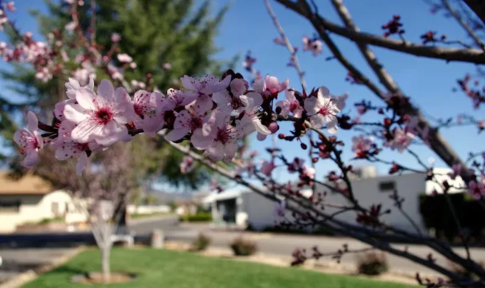 Valley View Mobile Home Park Picture 2