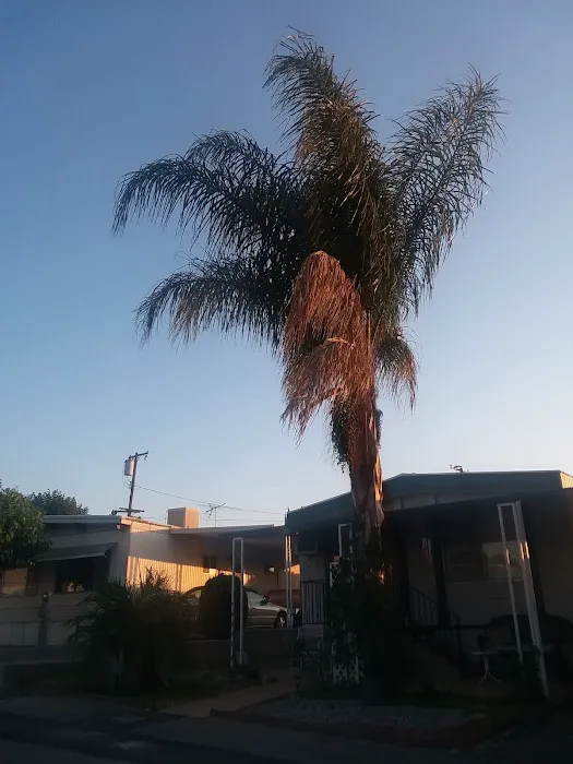 Valley View Mobile Home Park Picture 9