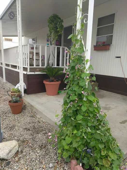 Bel Aire Mobile Estates Picture 6
