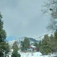 Ponderosa Mobile Estates ico