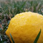 Californian Mobile Estates